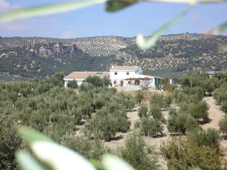 Lasna Villas M&M